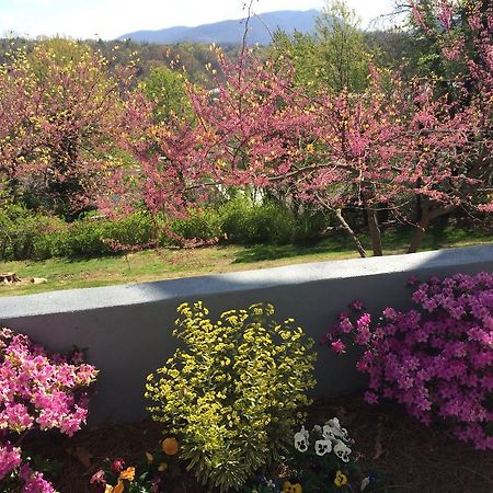 Biltmore Village Inn B&B แอชวิลล์ ภายนอก รูปภาพ