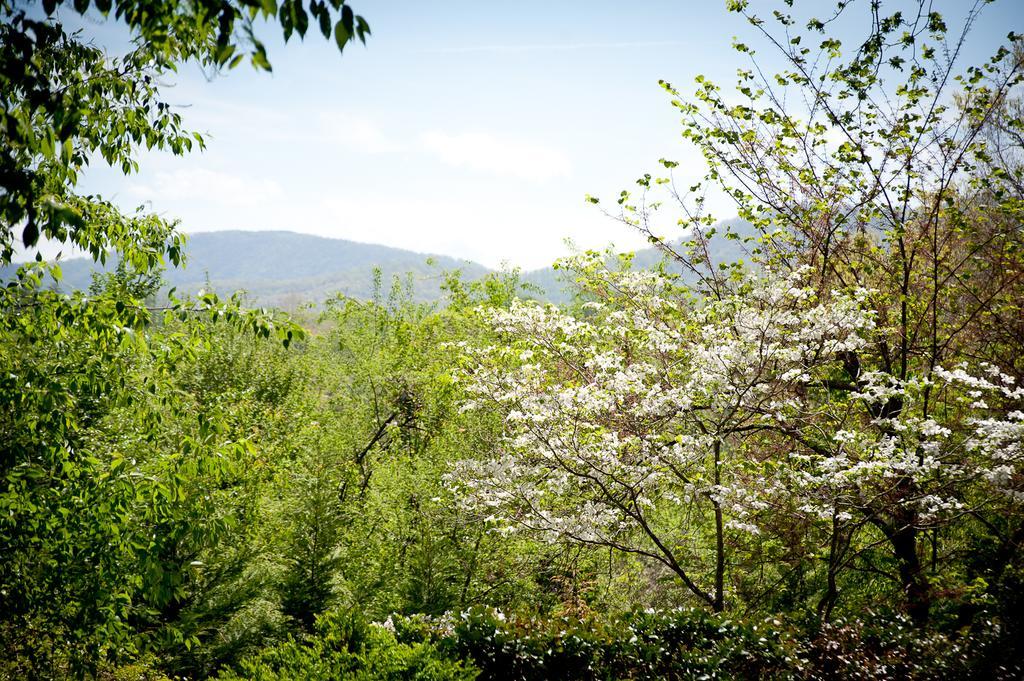 Biltmore Village Inn B&B แอชวิลล์ ภายนอก รูปภาพ