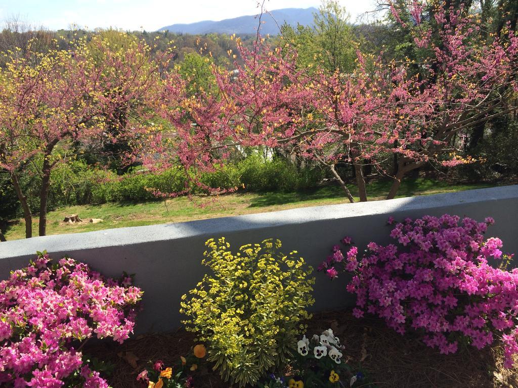 Biltmore Village Inn B&B แอชวิลล์ ภายนอก รูปภาพ